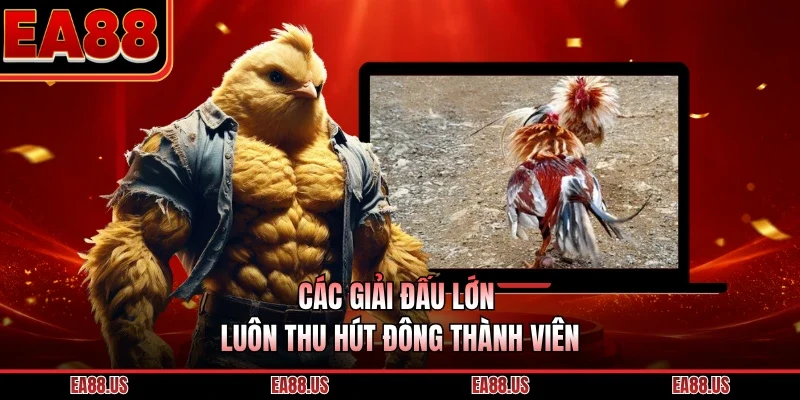 Các giải đấu lớn luôn thu hút đông thành viên