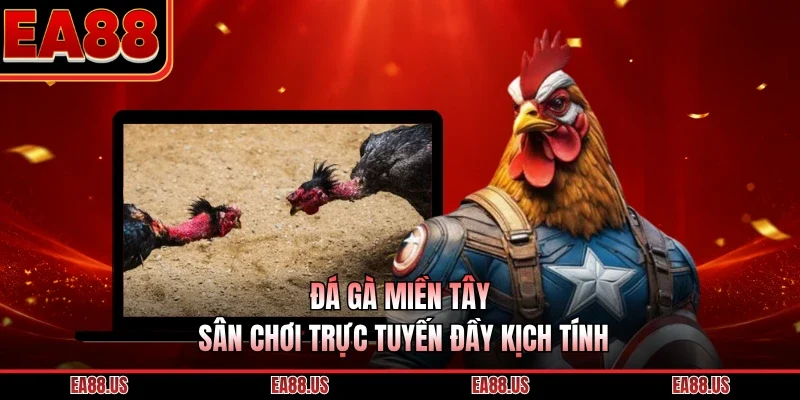 Đá Gà Miền Tây - Sân Chơi Trực Tuyến Đầy Kịch Tính