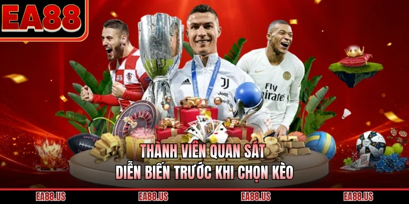 Thành viên quan sát diễn biến trước khi chọn kèo