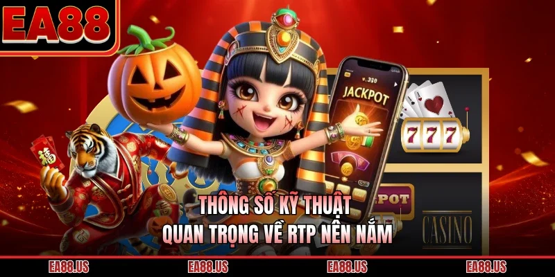 Thông số kỹ thuật quan trọng về RTP nên nắm